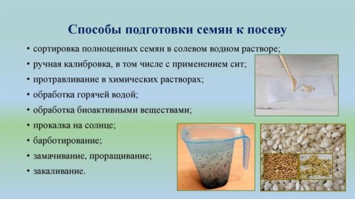 ��� ��������� ����������� ������ ������� � ������: ��������� �����������