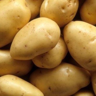 ��������� ����: ������� ������ � ������� ��������� �����������