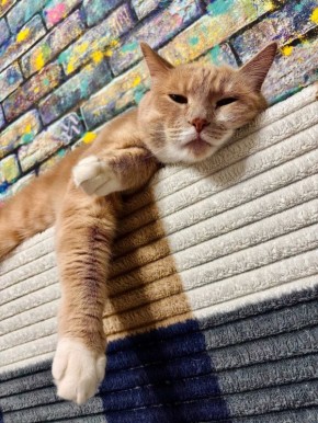 � ����-�� ������, � ���-�� � ���