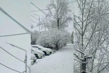 ����� �������� ������� ����� �������� ��� ������ ������� �����, ������� ������ ���-�������� ������