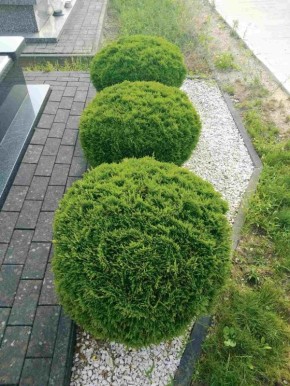 ��� ��������� ������������ �������� � ����� ����