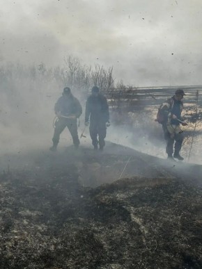 ����� 30 ����� ������������� � ������������� � ������ ������� ���������������� ������