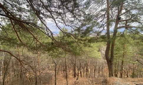 ������� ������ � �������� ������� �� 28 ������