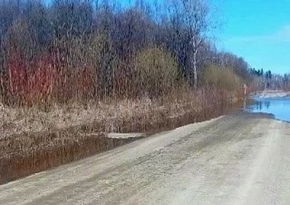 ���� ����� �� ������ � ������� ������