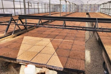 � �������� ������� ����������� 5000 �������� �����