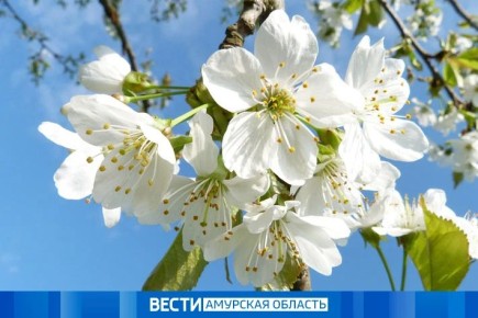 �������� ������ � ������� ������: ��� ������������ �������� �����