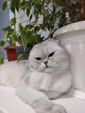 ������ ��� ���� �����������腻