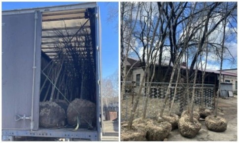 ������ 150 ������, ������, ��� � ������ �������� ������� ����� � ���������� �������������