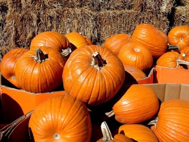 ��� ��������� ������� ���� ��� ������� ����: ������� ��������� ������