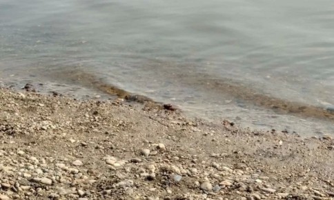 ���� ���� ��������: �� ���� ��� � ����������� ������ ������ �����