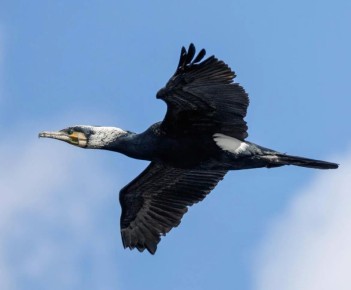 ������ � ������� ������!. ��� ����� ��������-��������� ������ �������: ����������� ������ � �� ����� ��� �� ����! ������, ��� ����� �������� �������� � ���� ������ ������ ������ ����� ���� ������ � ���, ������� ��������...