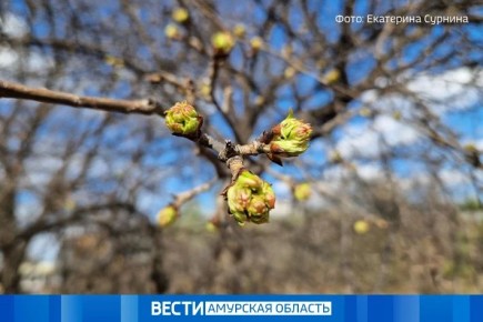 ������: ������� ������ �� 29 ������ � ���������