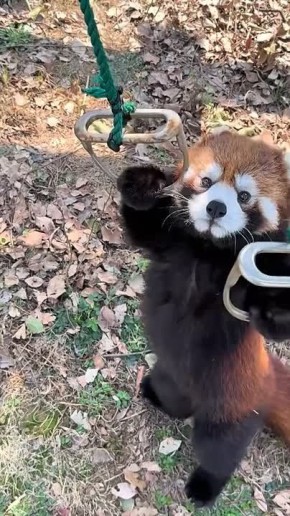 ������ ����. ����� - ��� �����! � �� ������� ������� �� �����?