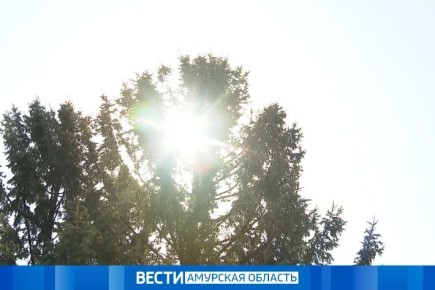 �� +19 ��: ������� ������ �� 30 ������ � ���������