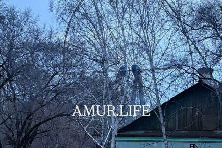 ����� �� ������ ������� ������� ��������� ������� ��������� ���� �� ���������� �����