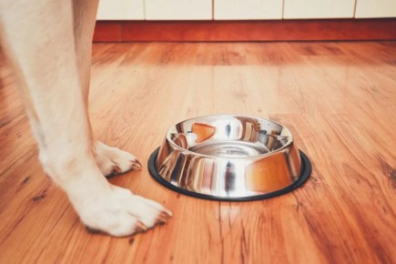 ������� ���������: ���� ������ ������ �������