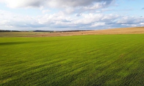 ��������� ������� � ������������ ������ ������ ������ ���������, �� ��� ���� ���������