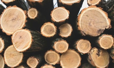 ������ ����������, ��������� ��������� ������ ��������, ����� �������� ������� �� ���� ���