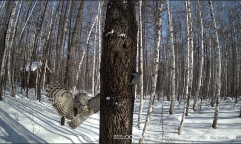 ����� ������ �����������: ����������� ������������� ������� �������� � ������� �����������