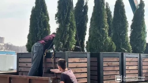 ���������� ������� ���� ��������� �������������� �����