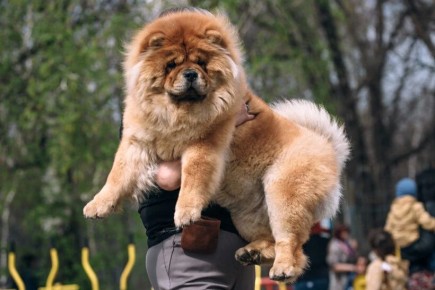 ���� ������ � �����������: ��������� ������ ��������� ����������� ��� ���������� ������������ ������