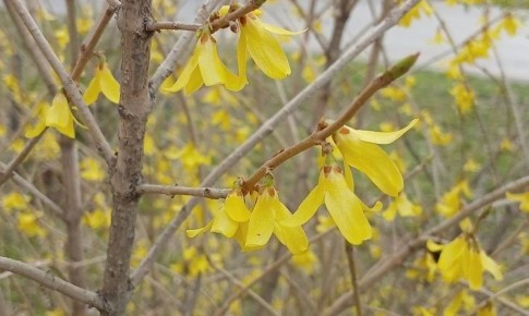 ������� ������ � �������� ������� �� 1 ���