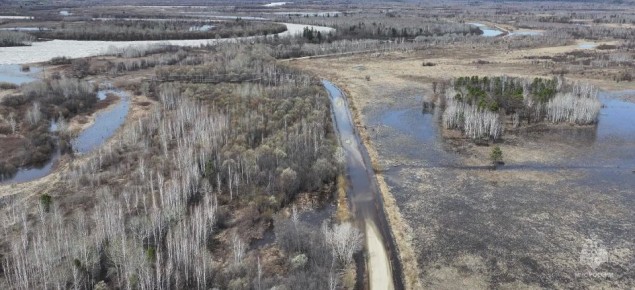 ������ ��� � �������� ����������� �� ����