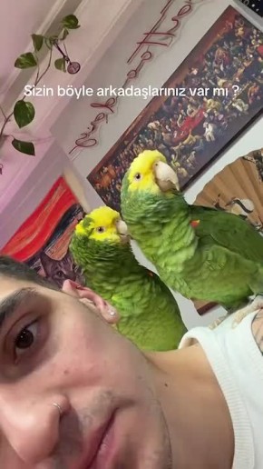 ������ ����!. ���� ����� �� ��� ��������