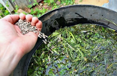 ���������� �������: ��� ��������� ��������� ������� ��������� ��������� ������