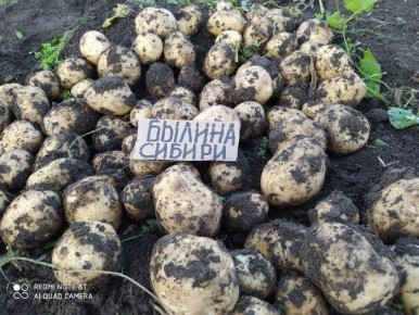 ���� ������: ������ ��������� ������ ������ � ������ ������� ��� ��������