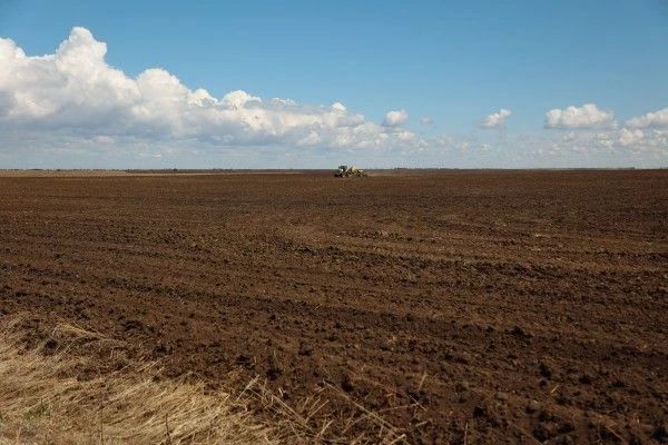 Амурские аграрии завершают сев ранних зерновых, несмотря на сложную «погоду» и поздний старт Амурские аграрии завершают сев ранних зерновых, несмотря на сложную «погоду» и поздний старт