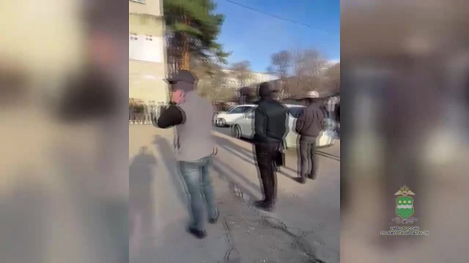 Полиция, ФСБ и Росгвардия провели тотальную проверку в Амурской области