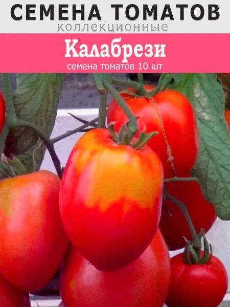 Томат Калабрезе: универсальный итальянский сорт, который должен быть в вашем саду