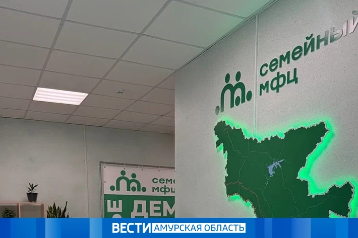 Родители в Амурской области смогут оформить гражданство детей в МФЦ бесплатно