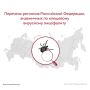Роспотребнадзор составил список регионов, где повышенный риск заражения клещевым энцефалитом