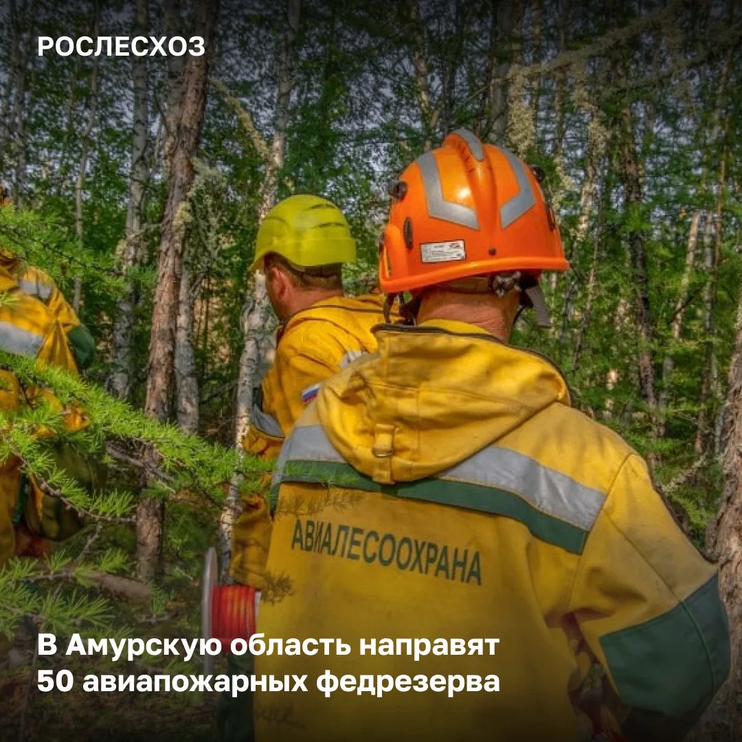 На 11:00 мск 13 мая в Амурской области тушат 12 лесных пожаров на площади 7,2 тыс
