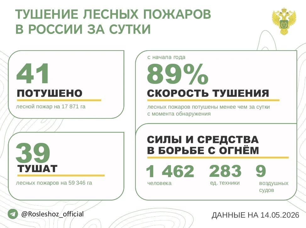 За прошедшие сутки в 16 регионах России потушили 41 лесной пожар