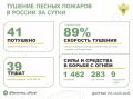 За прошедшие сутки в 16 регионах России потушили 41 лесной пожар