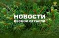 Прайм: Рослесхоз зафиксировал снижение объема незаконных рубок на 23%