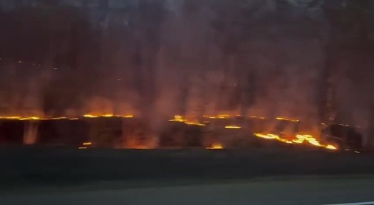 В редакцию Amur.life прислали видео серьезного пожара на территории Благовещенского заказника