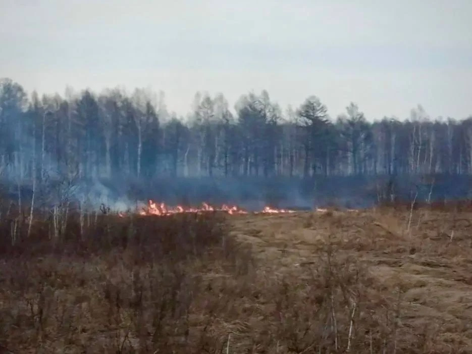 Непростая обстановка с лесными пожарами: в Магдагачинском округе ввели режим ЧС Непростая обстановка с лесными пожарами: в Магдагачинском округе ввели режим ЧС