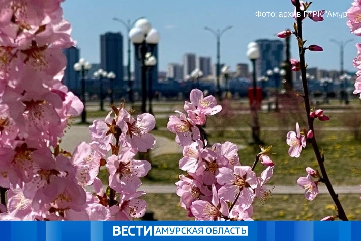 До +22, местами дожди: прогноз погоды на 16 мая в Приамурье