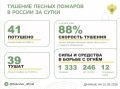 �� ��������� ����� � 14 �������� ������ �������� 41 ������ �����