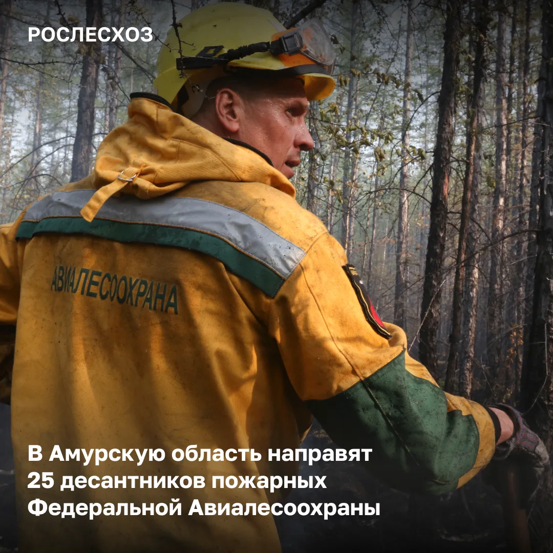 На 11:00 мск 15 мая в Амурской области тушат 10 лесных пожаров на площади 18,3 тыс