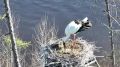 � ������� ����������� ����� ���� �� ����� �������� ����� ���������������� �����