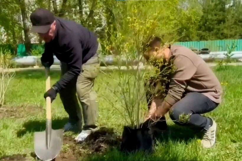 В память о героях Великой Отечественной войны и СВО в Благовещенске высадили более 100 молодых деревьев
