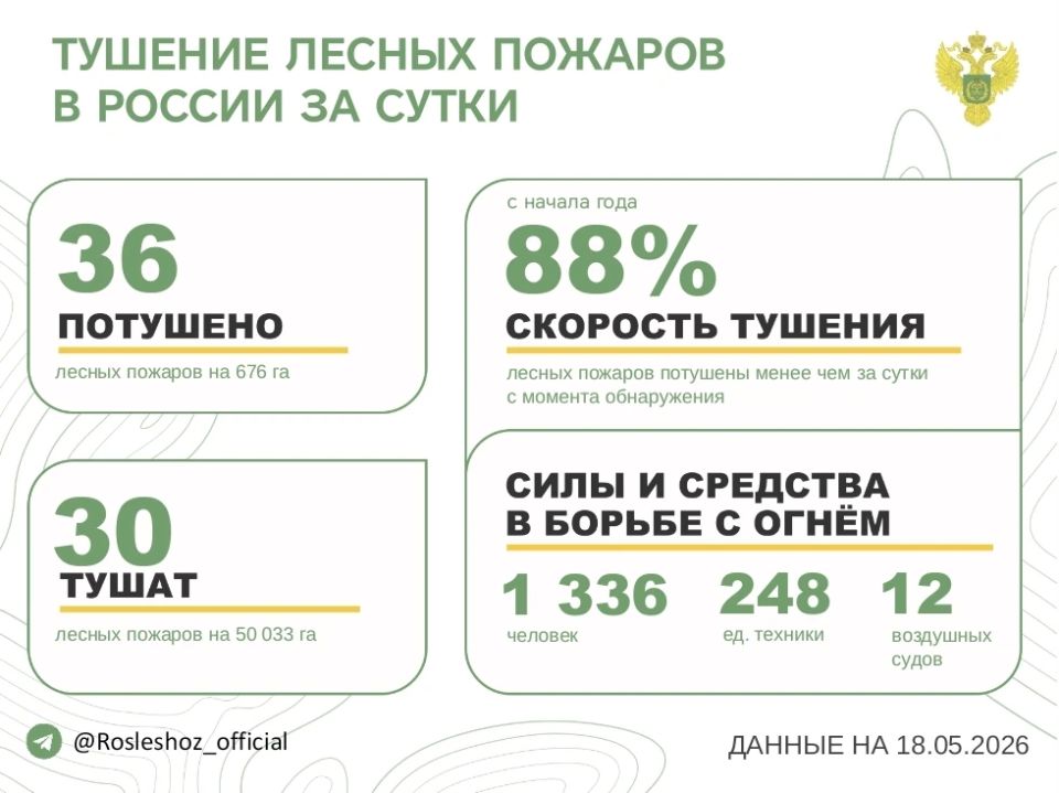За прошедшие сутки в 13 регионах России потушили 36 леснойых пожаров