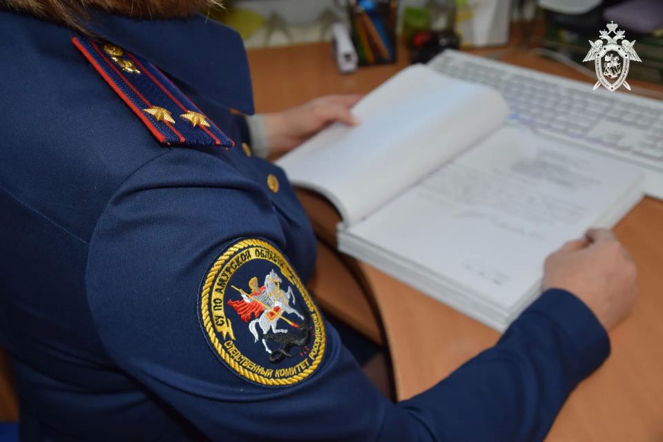 Житель Благовещенска предстанет перед судом за причинение тяжкого вреда здоровью несовершеннолетнему