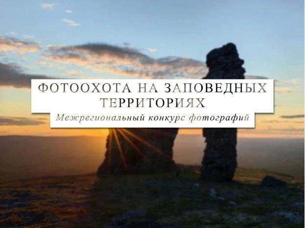 Амурским фотографам открыта всероссийская «Фотоохота»