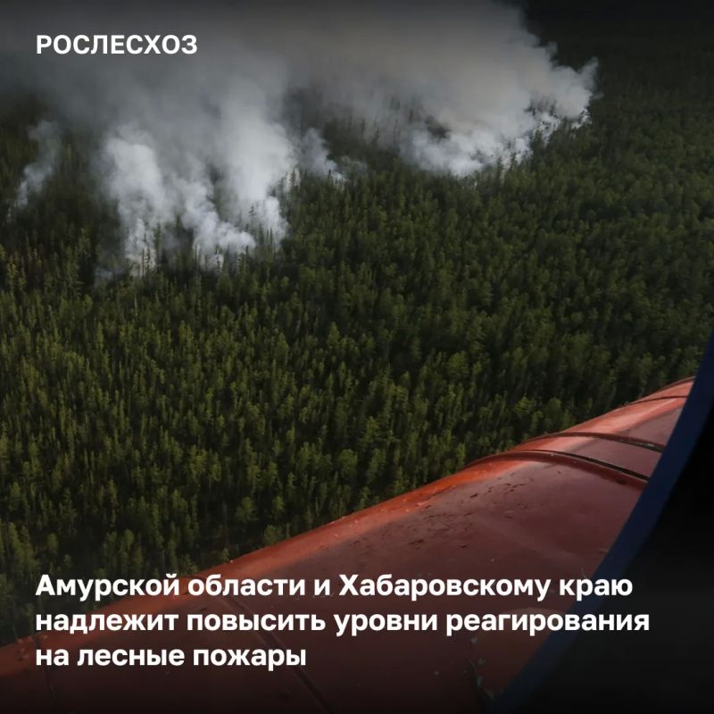 На территории Амурской области и Хабаровского края сохраняется сложная лесопожарная обстановка